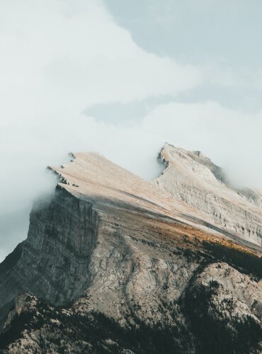 TrendMint Blog Service 3
